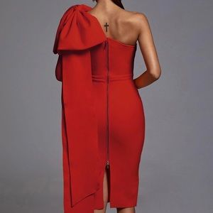 Beautiful new holiday dress!